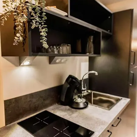 De 2 Chambres Avec Wifi A Chamond Appartement Saint-Chamond