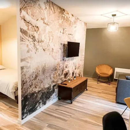 Appartement De 2 Chambres Avec Wifi A Chamond *